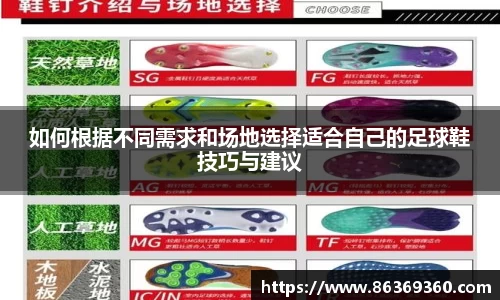 风云体育官网入口