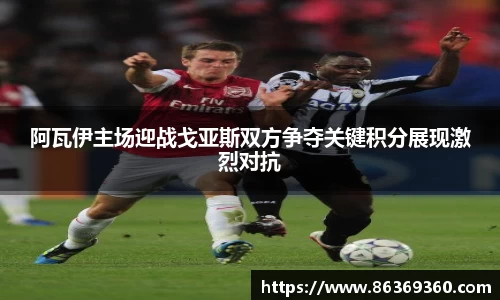 风云体育官网版